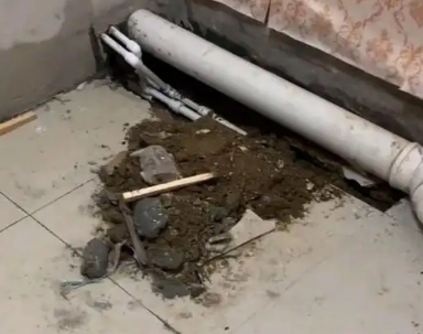 柳城卫生间漏水检测哪家好