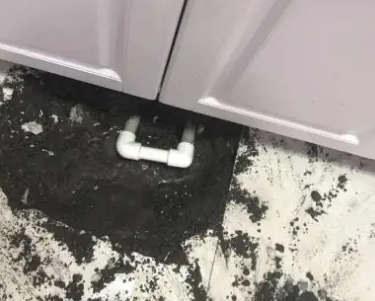 柳城查漏水哪家好